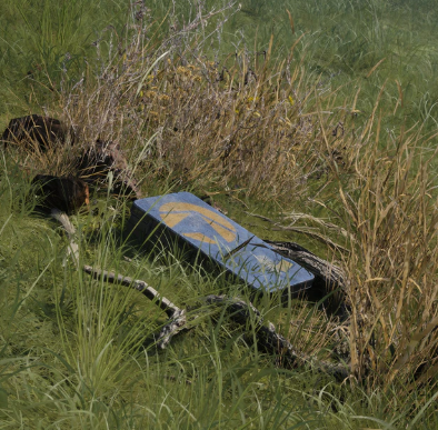 Vasculhe Estoques de Raider